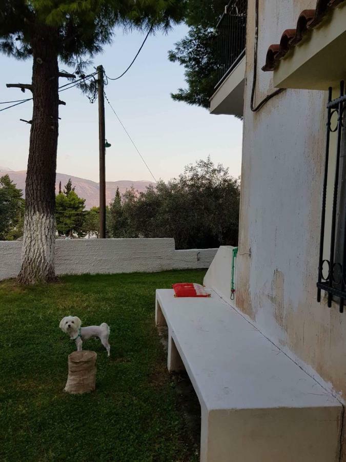 Villa Galaxídhion Extérieur photo